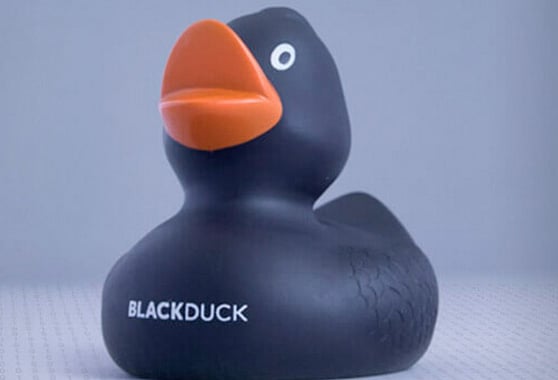 what-is-black-duck-scan-black-duck-software-overview-reasons-to